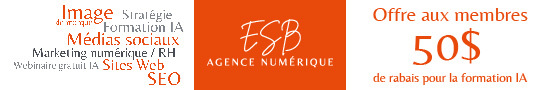 http://esb-agence-numerique.ca